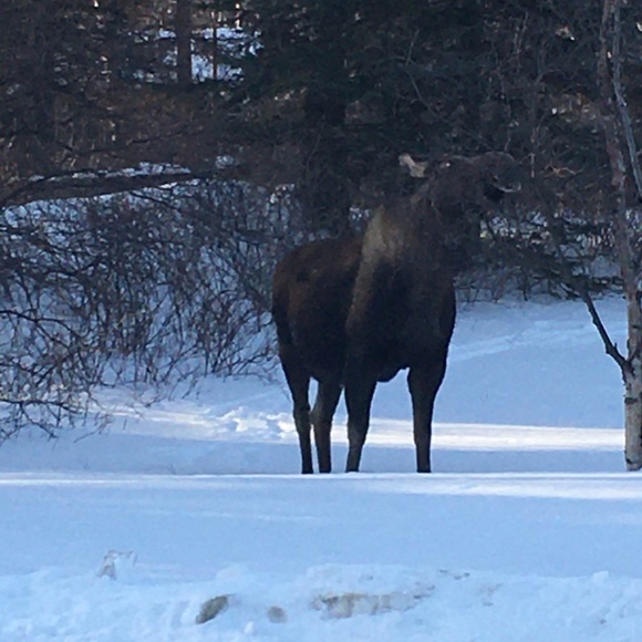 Meet your Posher, Annette - Picture 6 of 13